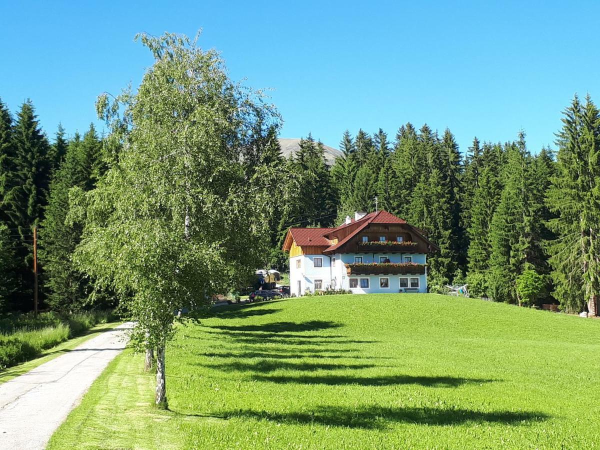 Prestlhof Mariapfarr Exterior foto